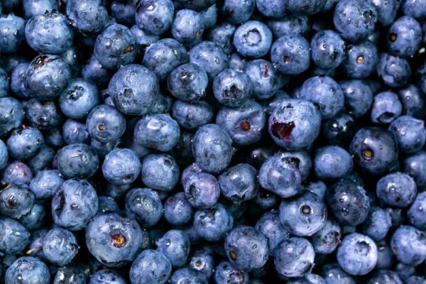 Blueberry