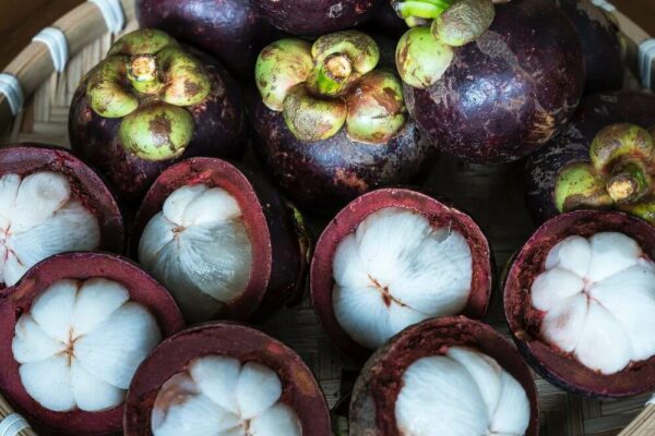 Thailand Mangosteen