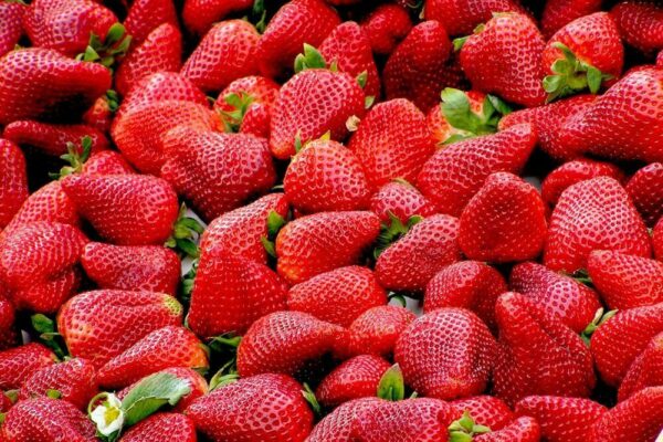 Strawberry