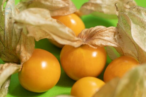 Gooseberry