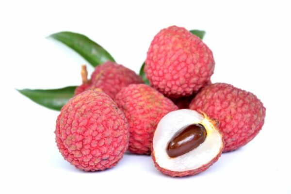 Indian Lytchee
