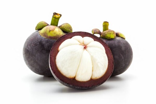 Indian Mangosteen