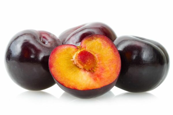 Indian Plum