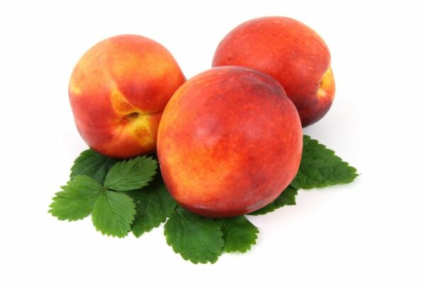 Indian Peaches